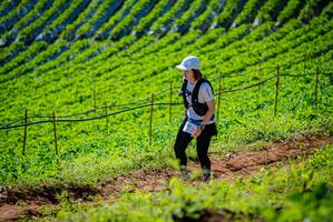 BIB: 
                            <button type="button" onclick="openModal(19161849)" class="btn btn-primary btn-sm float-right btn-popup" data-toggle="modal" data-target=".modal-high-quality">
                        <i class="fas fa-shopping-cart"></i> Add to Cart
                    </button>
                                            <button type="button" onclick="isThisMe(19161849, true)" class="btn btn-success btn-sm float-right btn-popup btn-isme hidden" data-toggle="tooltip" data-placement="bottom" title="นี่คือรูปของคุณใช่ไหม คลิกที่นี่เพื่อเอาเข้าอัลบั้ม">
                        <i class="fas fa-plus"></i> Add to album
                    </button>
                    <button type="button" onclick="isThisMe(19161849, false)" class="btn btn-warning btn-sm float-right btn-popup btn-isnotme hidden">
                        <i class="fas fa-ban"></i> Remove from album
                    </button>